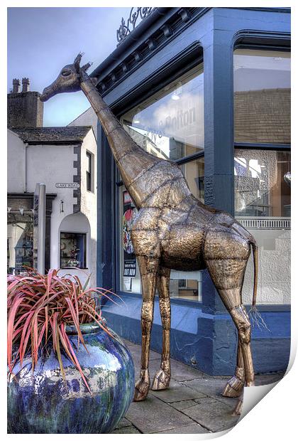 The Keswick Giraffe Print by Tom Gomez