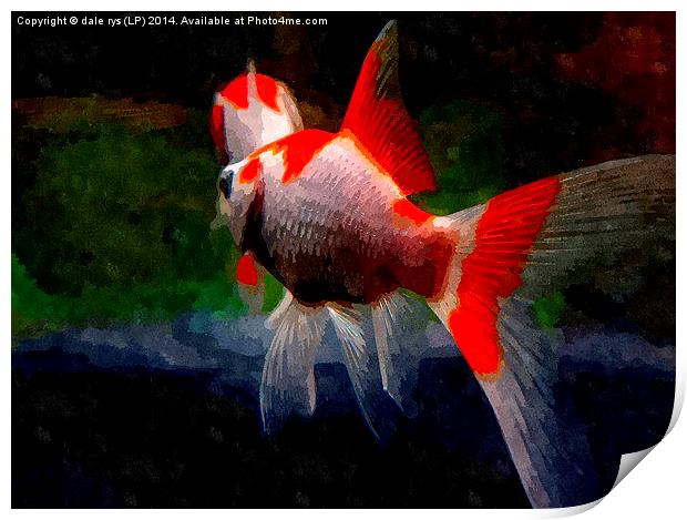 watercolor fish Print by dale rys (LP)