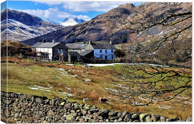 High park Farm, Little Langdale Canvas Print by Jason Connolly