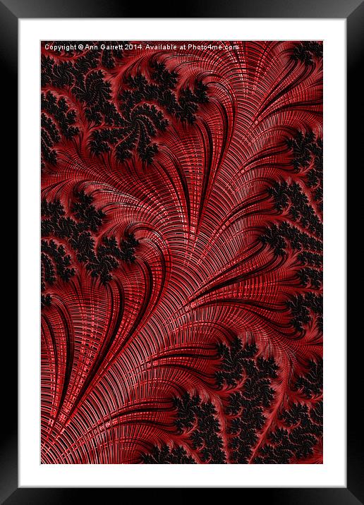 Red on Black  2 - A Fractal Abstract Framed Mounted Print by Ann Garrett