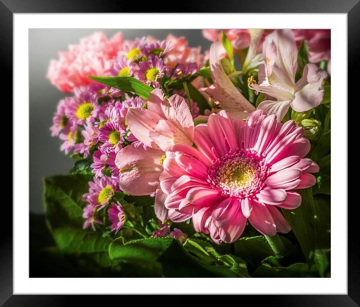 Some simple flowers and some sunshine Framed Mounted Print by Ian Johnston  LRPS