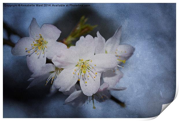 Springtime Blossom. Print by Annabelle Ward
