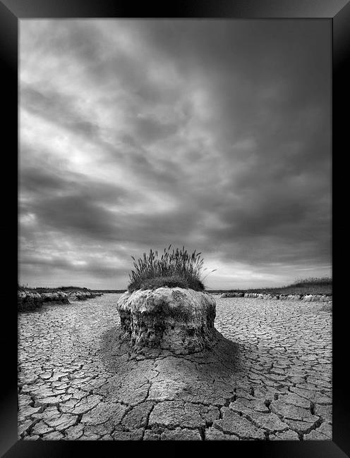 Island in the Mudflats Framed Print by Nick Pound