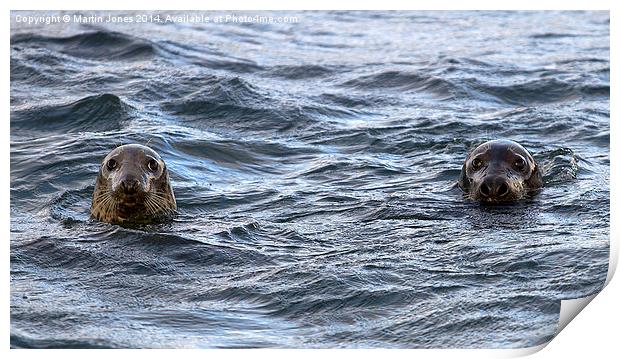 Whos that there? Print by K7 Photography