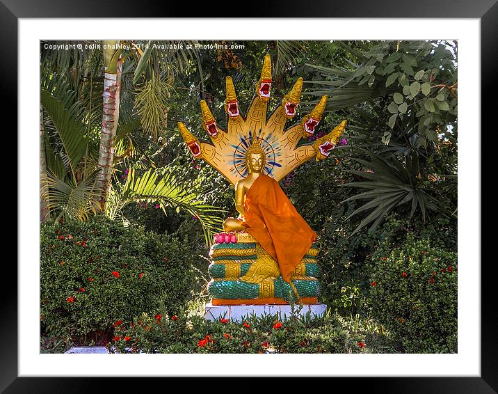 Wat That Luang Buddha Framed Mounted Print by colin chalkley