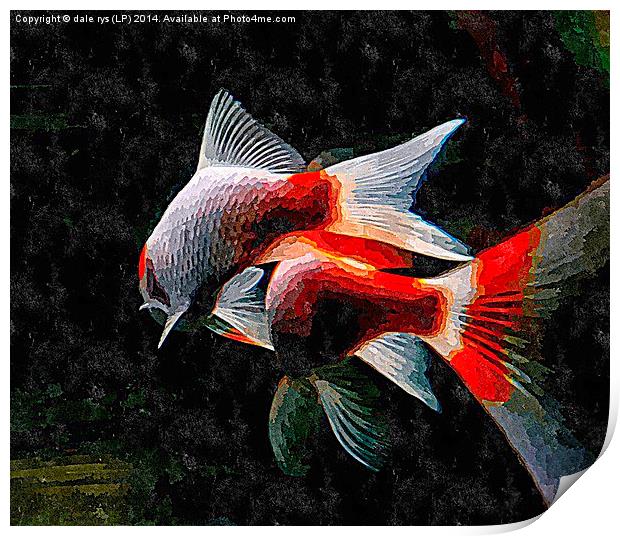 watercolor fish Print by dale rys (LP)