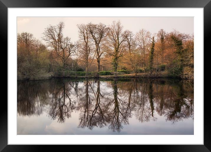 reflect Framed Mounted Print by sam moore