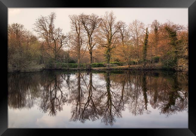 reflect Framed Print by sam moore