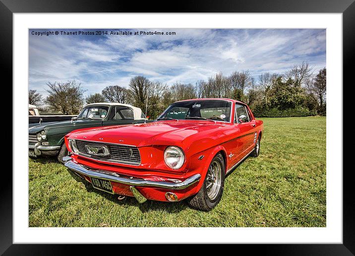 Shelby Mustang Framed Mounted Print by Thanet Photos