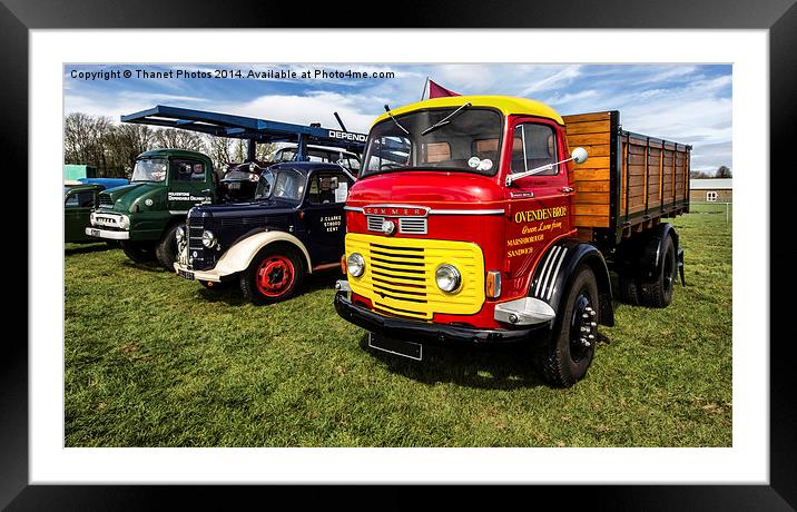 collection of old lorries Framed Mounted Print by Thanet Photos