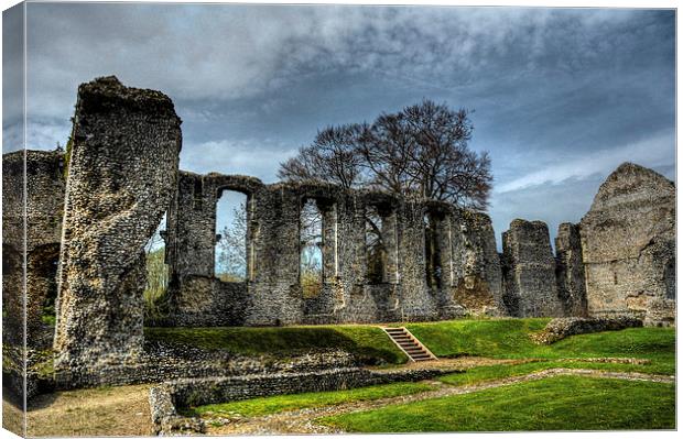 bishops waltham palace ruin Canvas Print by nick wastie