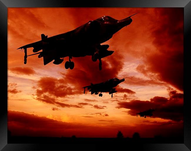 Harriers at sun rise Framed Print by sean clifford