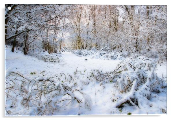 Winter Acrylic by Ann Garrett