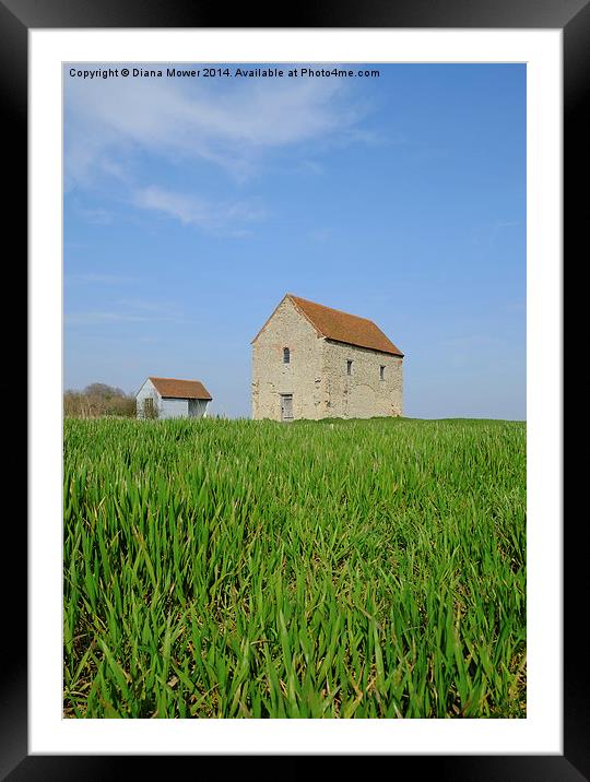 St Peter’s Bradwell Framed Mounted Print by Diana Mower