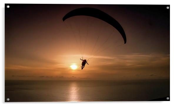 paraglider over Gower Acrylic by Leighton Collins