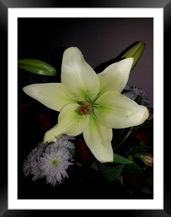 white lily Framed Mounted Print by caroline hearns