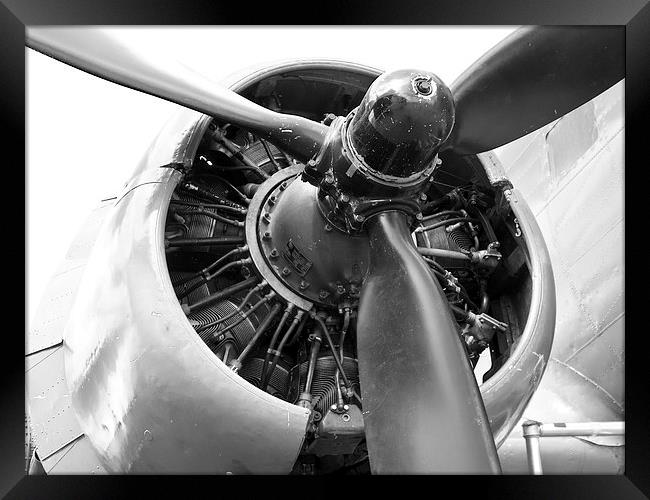 Douglas Dakota DC-3 engine Framed Print by Robert Gipson