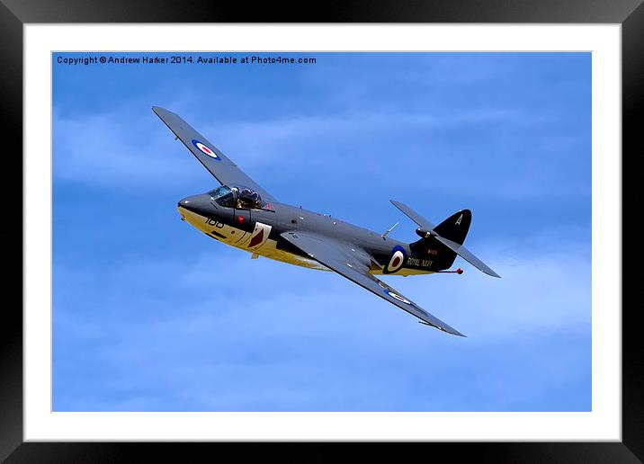 Hawker Sea Hawk FGA.6  Framed Mounted Print by Andrew Harker