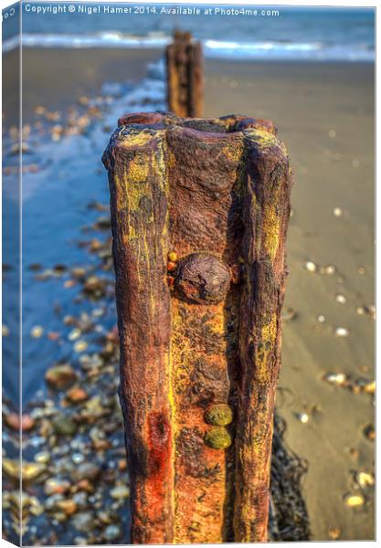 Barnacle Bill Canvas Print by Wight Landscapes