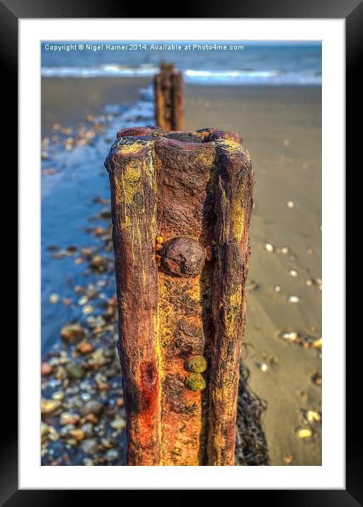 Barnacle Bill Framed Mounted Print by Wight Landscapes