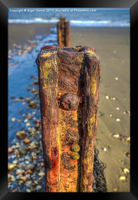 Barnacle Bill Framed Print by Wight Landscapes