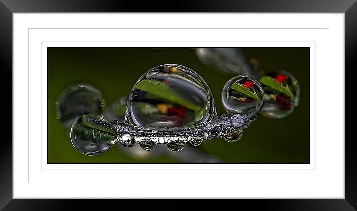 spiral & drops Framed Mounted Print by Jovan Miric