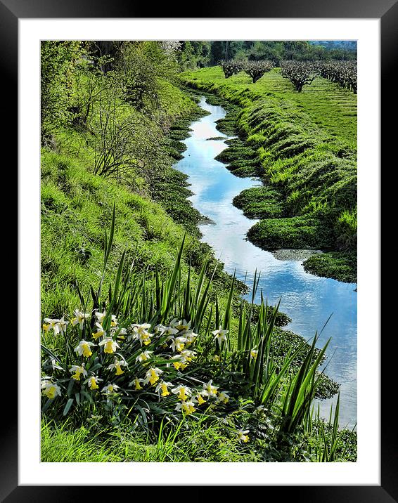 The Stream Framed Mounted Print by Kim Slater