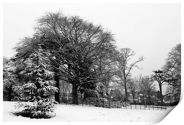 Winter at Cusworth Print by John Atkins