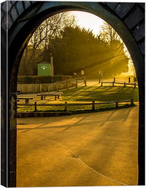 Archway Sunlight Box Hill Canvas Print by Clive Eariss