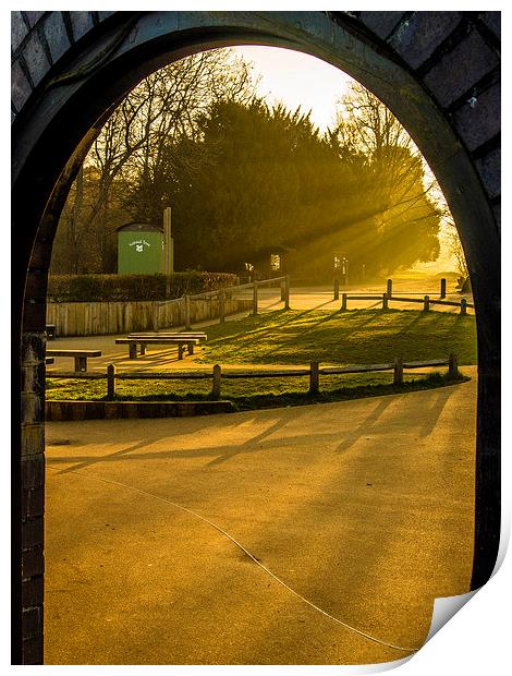 Archway Sunlight Box Hill Print by Clive Eariss
