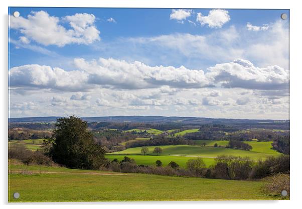 Spring views from Newlands Corner. Acrylic by Steve Hughes