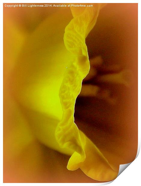 Inside the Yellow Daffodil Print by Bill Lighterness