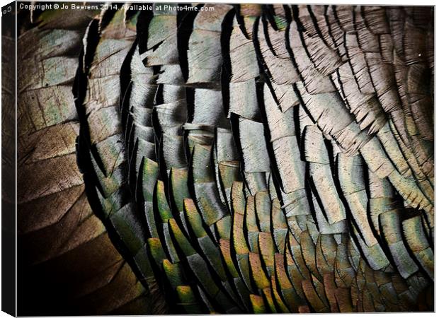turkey feathers Canvas Print by Jo Beerens
