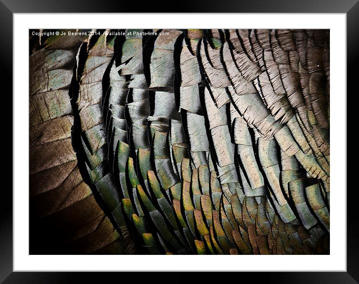 turkey feathers Framed Mounted Print by Jo Beerens