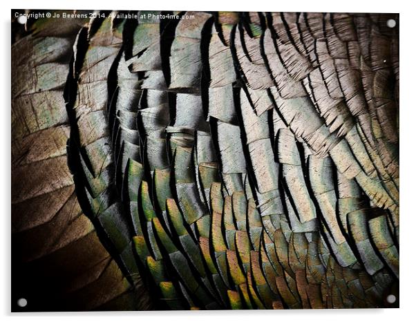 turkey feathers Acrylic by Jo Beerens