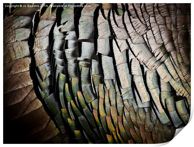 turkey feathers Print by Jo Beerens