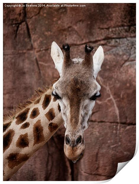 giraffe head Print by Jo Beerens