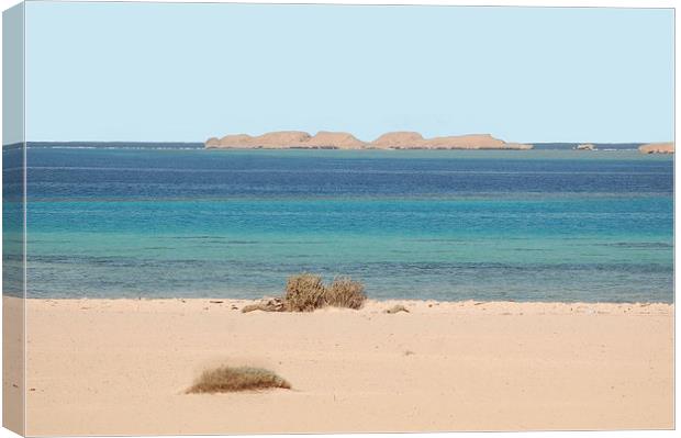 Desert Island Canvas Print by Jacqueline Burrell