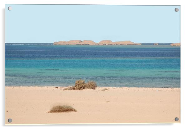 Desert Island Acrylic by Jacqueline Burrell