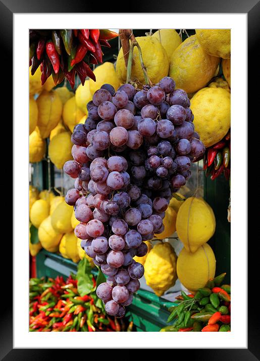 Grapes and lemons Framed Mounted Print by Matthias Hauser
