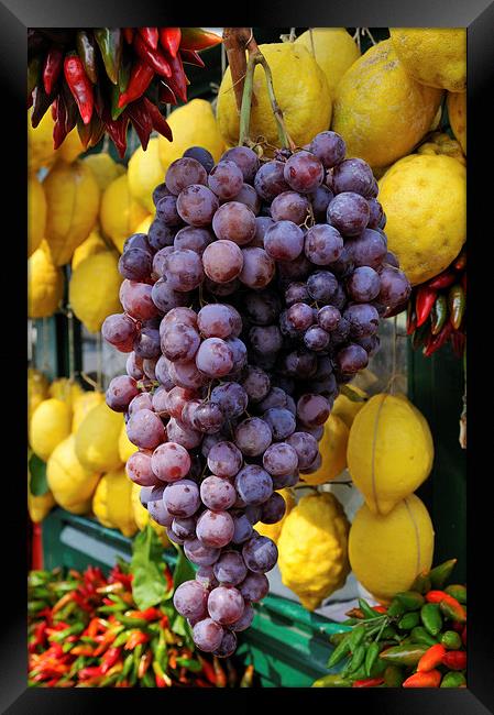 Grapes and lemons Framed Print by Matthias Hauser