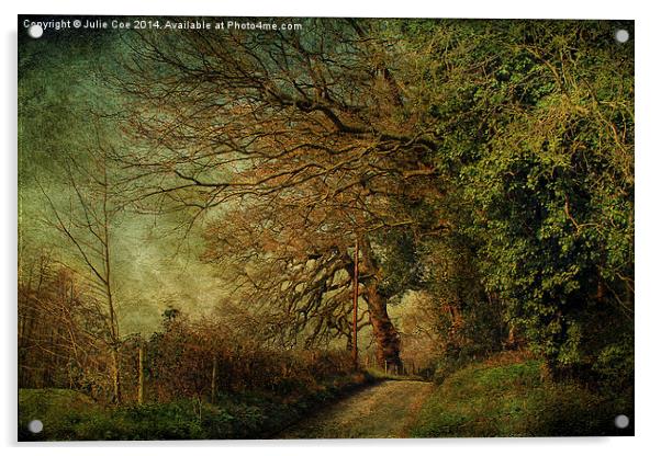 Hunworth, Norfolk 7 Acrylic by Julie Coe
