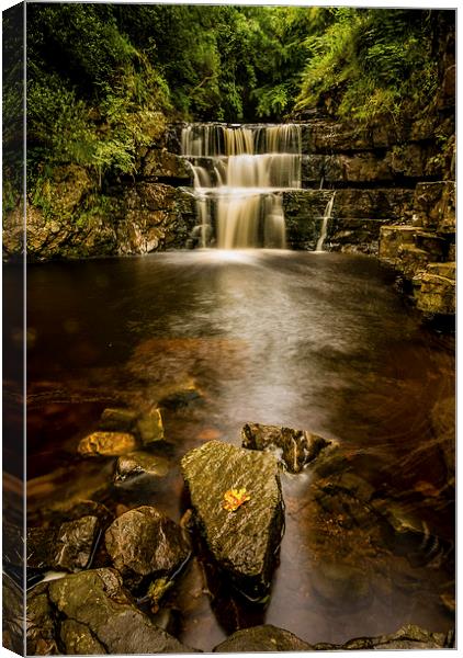 Cauldron Falls, North Yorkshire Canvas Print by Dave Hudspeth Landscape Photography