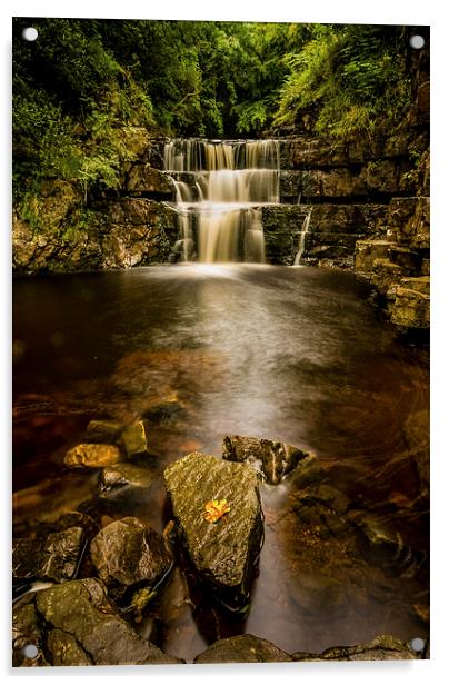 Cauldron Falls, North Yorkshire Acrylic by Dave Hudspeth Landscape Photography