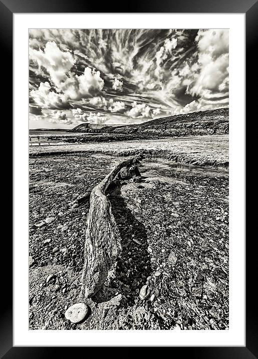 Driftwood Mono Framed Mounted Print by Steve Purnell