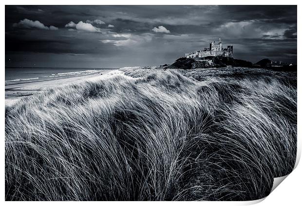 Bambrough Castle Northumberland Print by Dave Hudspeth Landscape Photography
