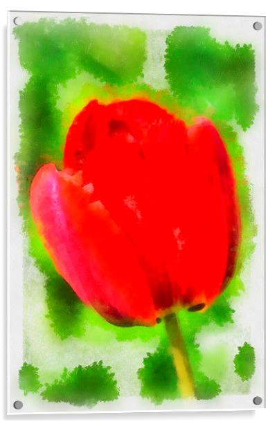 Red tulip aquarell painting Acrylic by Matthias Hauser