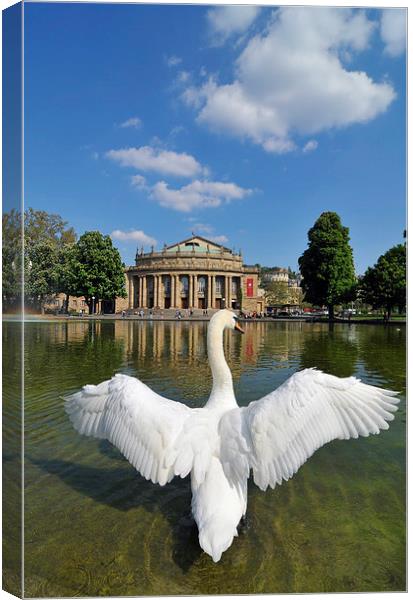 Swan spreads wings in Stuttgart Canvas Print by Matthias Hauser