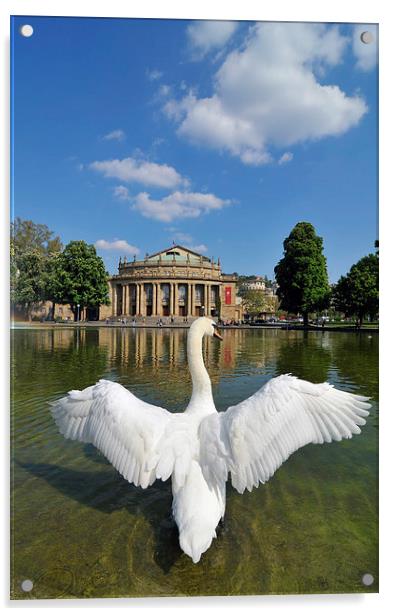 Swan spreads wings in Stuttgart Acrylic by Matthias Hauser