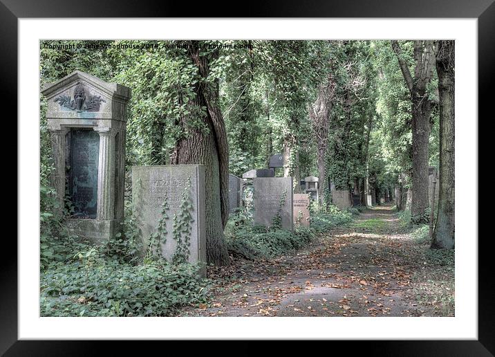 Jewish Cemetery, Berlin Framed Mounted Print by Julie Woodhouse